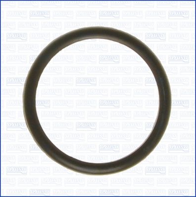 кольцо (прокладка) термостата