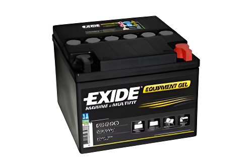 EXIDE ES290